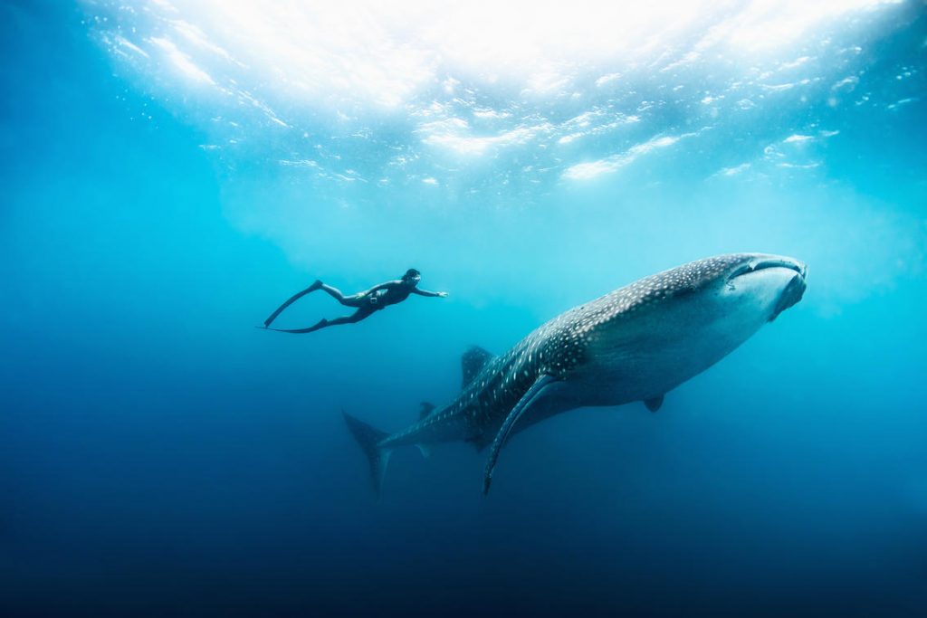 Scuba Diving Tour Zanzibar