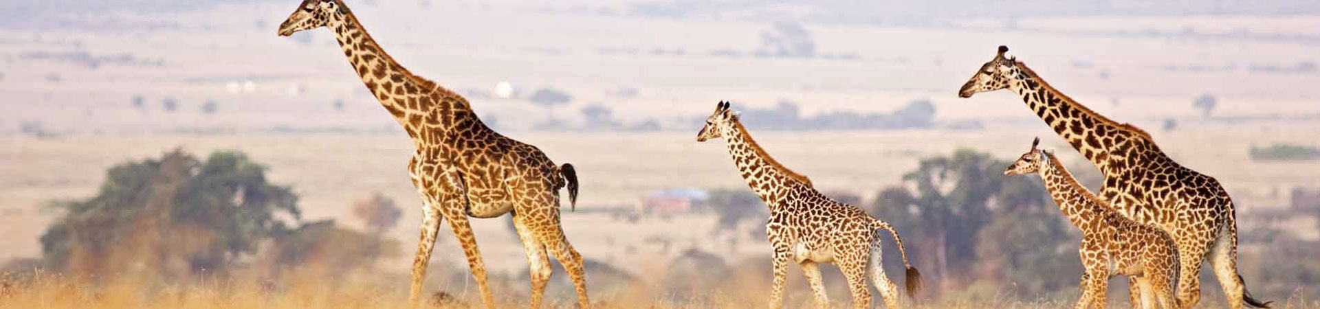 4-Days-Budget-Safaris.