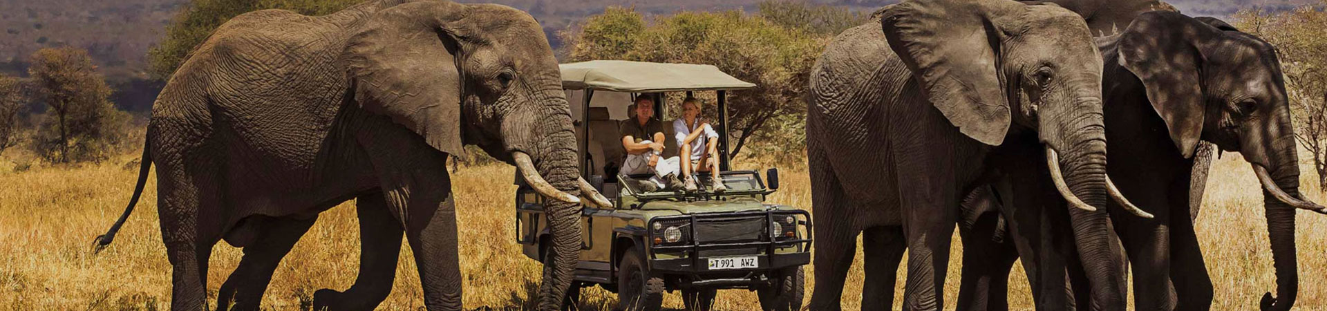 5-Day-Tanzania-Luxury-Safaris.