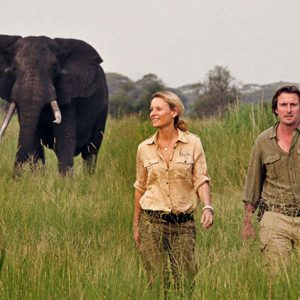 8 Days Tailor Made Tanzania Safari big 5 & Zanzibar Beach Holiday Tour