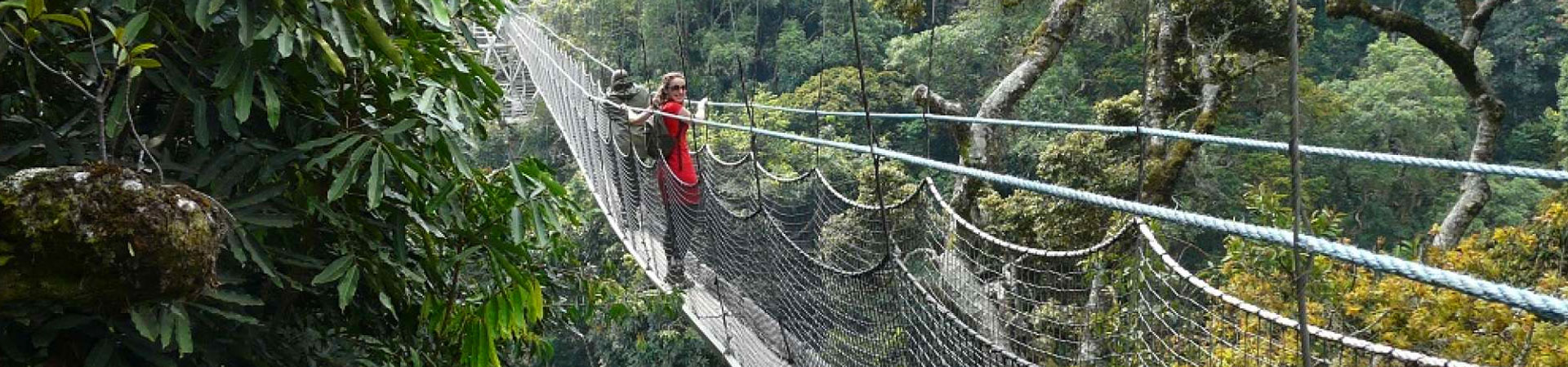 9-Days-Canopy-Walk-Rwanda-Nyungwe-National-Park