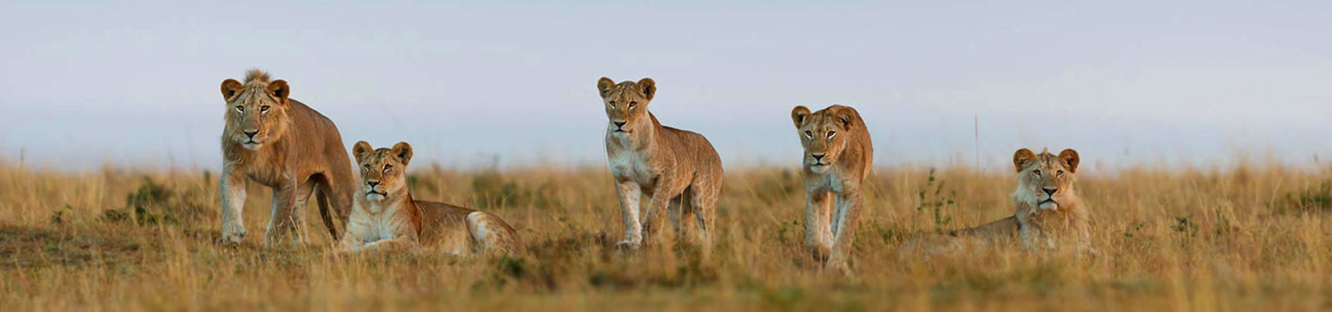 Kenya-6-days-BIG-5-Conservancy-Safaris.