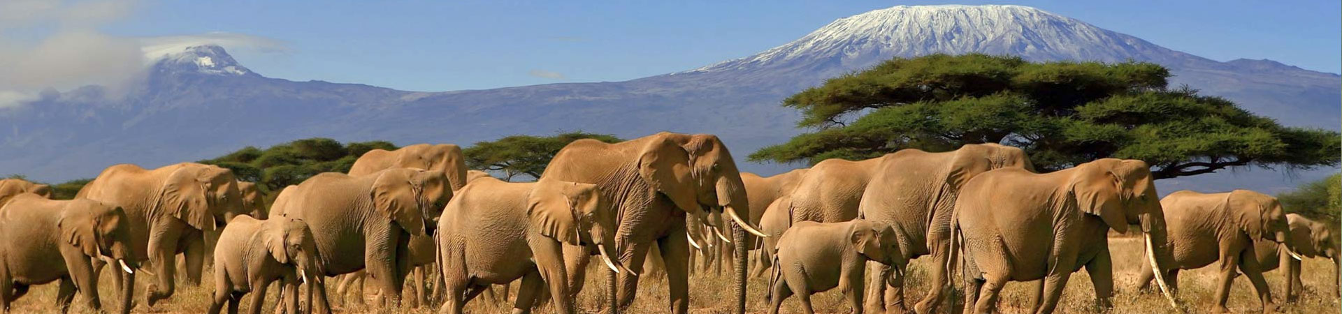 Kenya's-Family-Safari---Best-for-teens-9-Days..