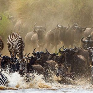 10-Day-Serengeti--wildebeest-migration-Fly-in-Drive-out