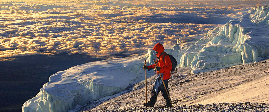 8-Days-Climbing-Kilimanjaro-via-lemosho-Route